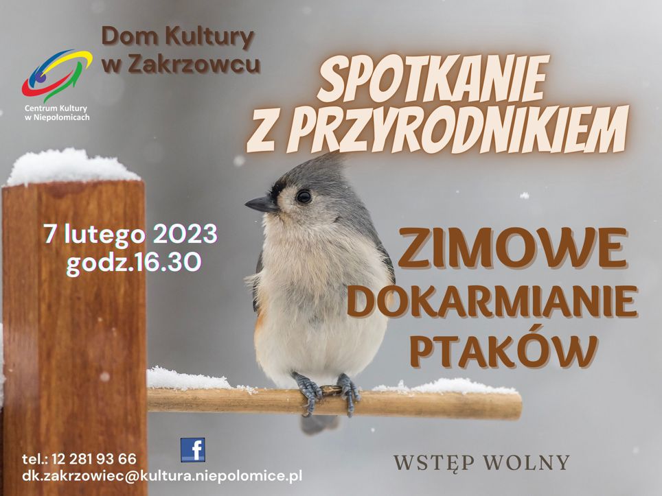ptak siedzący na patyku w zimowej scenerii, zaproszenie na spotkanie dokarmianie ptakow w Domu Kultury w Zakrzowcu